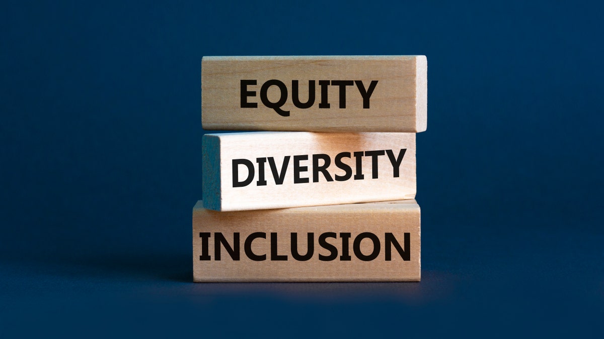 DIVERSITY EQUITY ANND INCLUSION