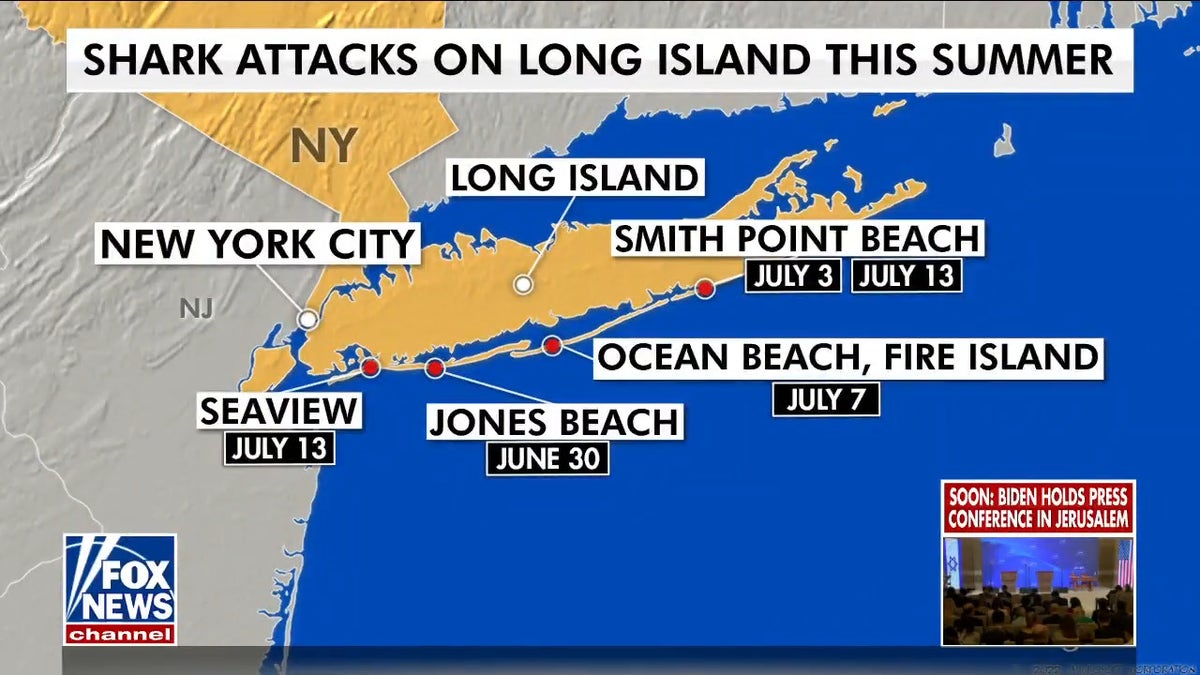 New York Long Island sharks