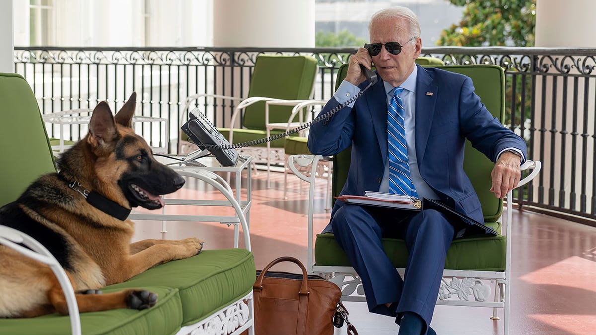Joe Biden working with dog