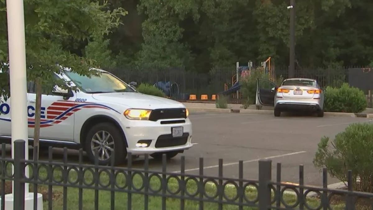 A silver Kia in the background with a white police car in the foreground near a park