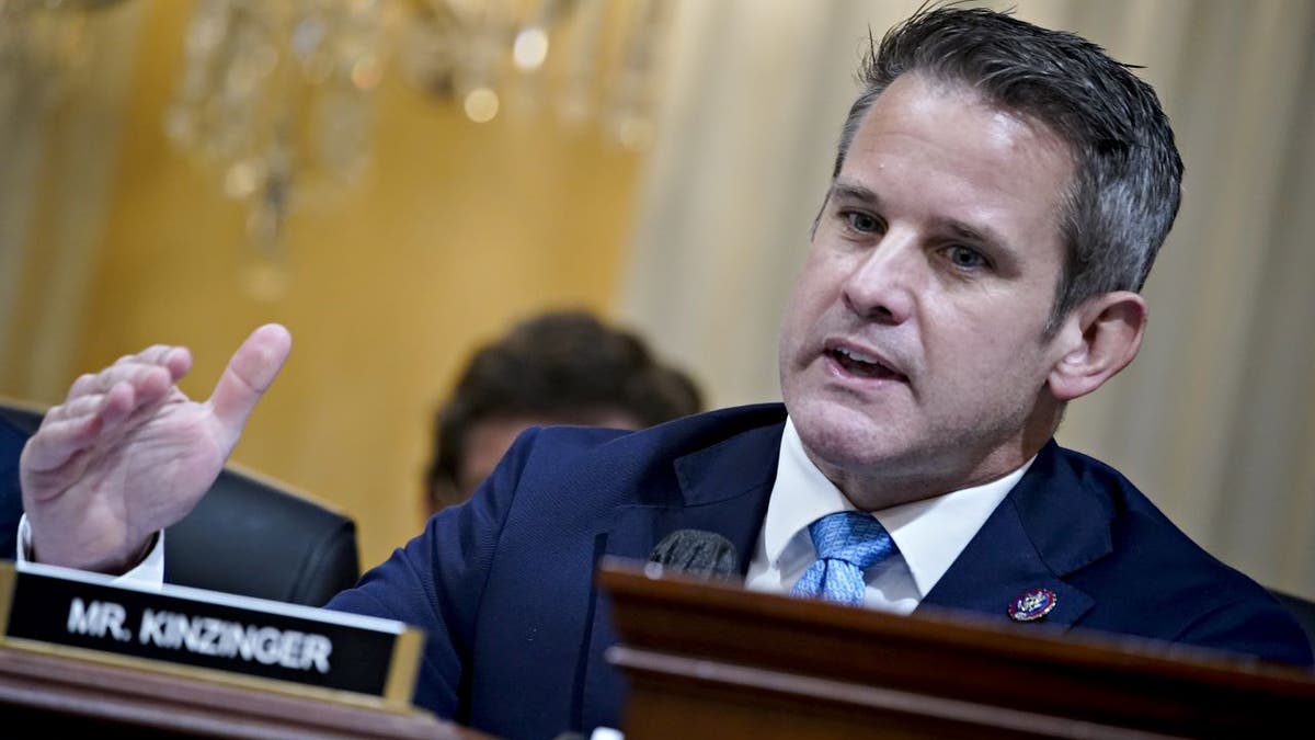 Rep. Adam Kinzinger speaks at January 6 hearing