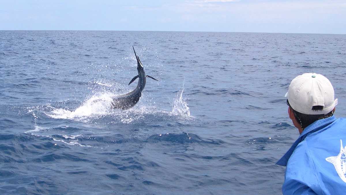 A man catches a sailfish in Costa Rica