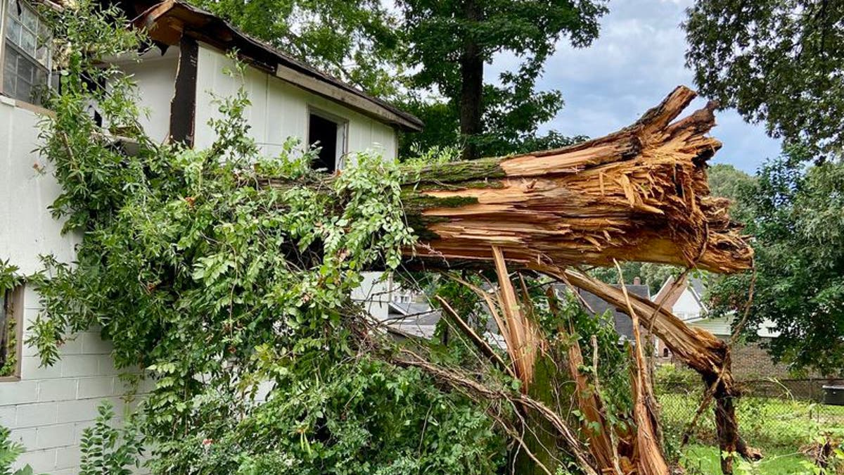 Tree crashes into Alabama home, killing 2 kids
