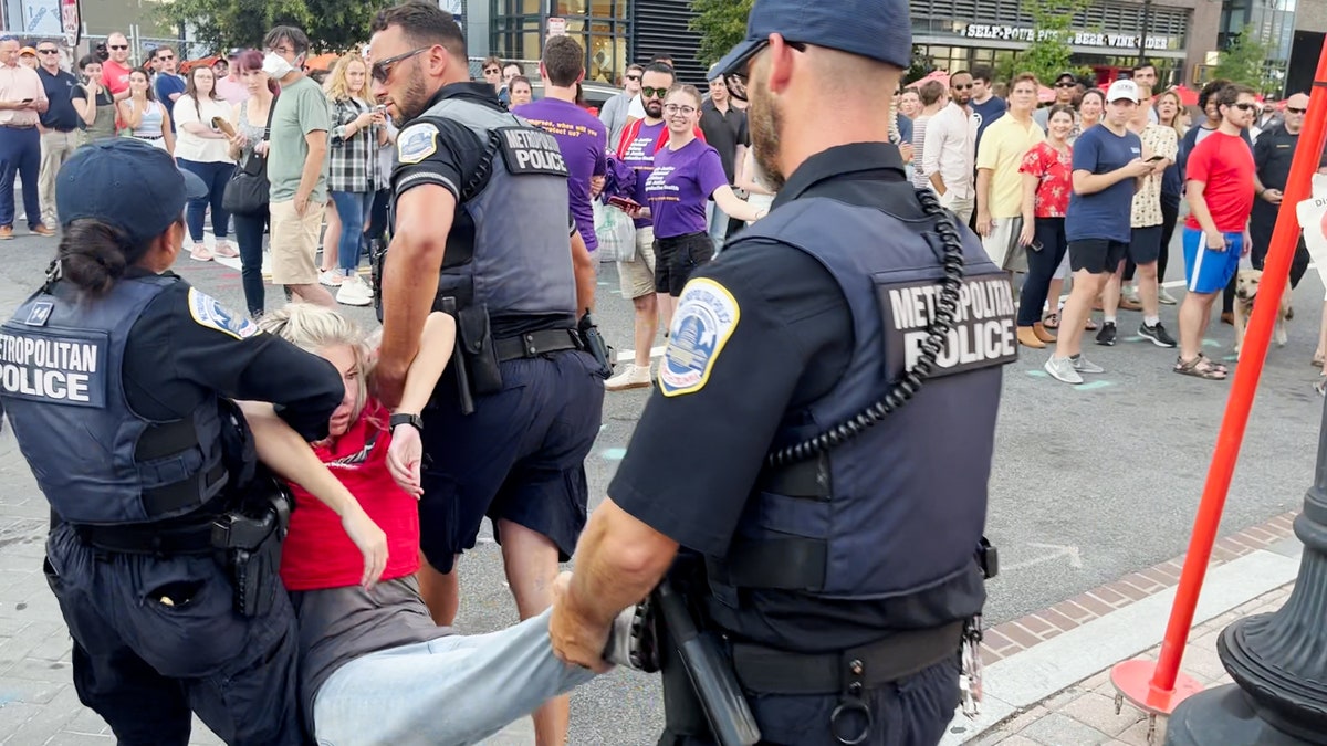 Climate activist detained at Nationals Park