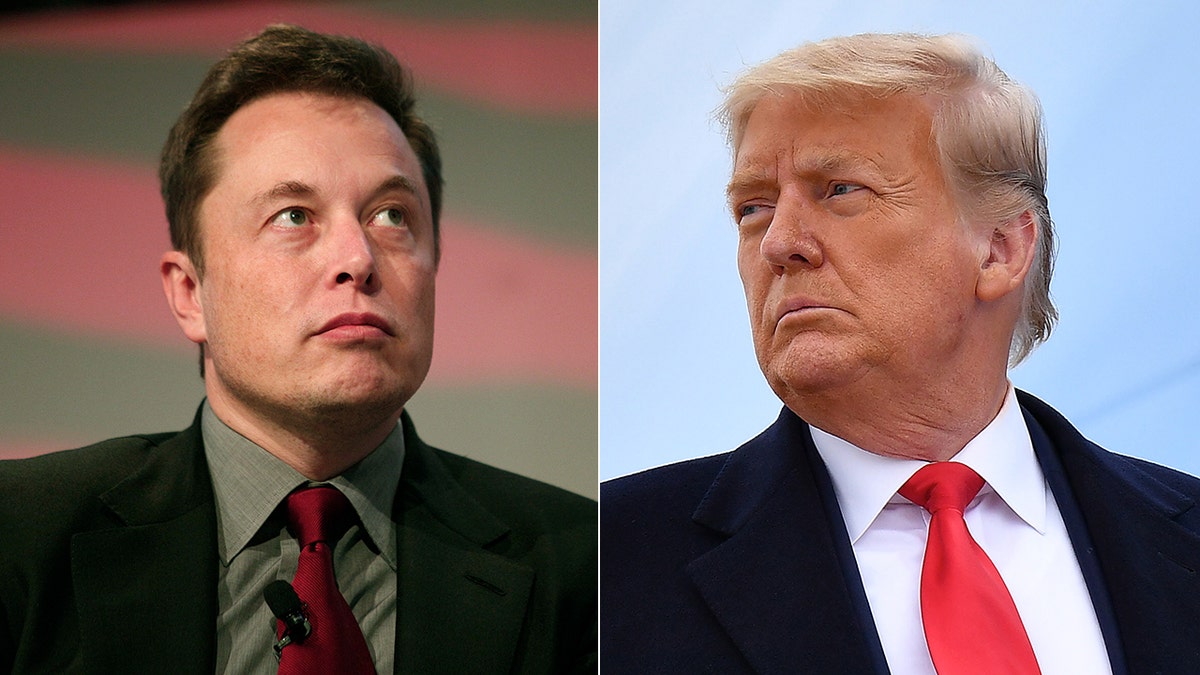 Elon Musk Says Trump Will Be Reinstated To Twitter After More Than 15 ...