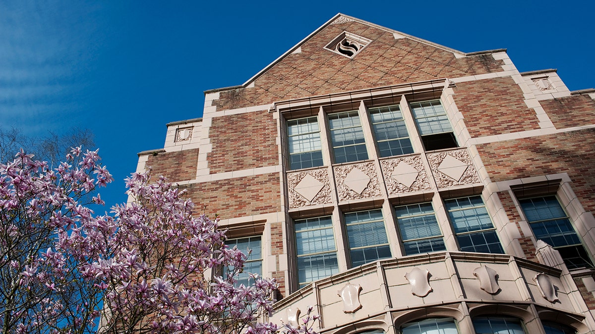 University of Washington DEI