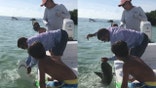 Brett Reeder was bitten by a shark in Florida