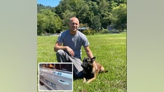 Kentucky police shooting: 3 officers, police K9 dead following shootout at suspect's home