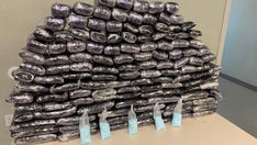 Fentanyl seizures at southern border jumped over 200% in July