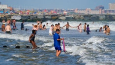 NYC closes Rockaway beaches after shark sightings