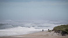 New York lifeguard returns to work after shark attack
