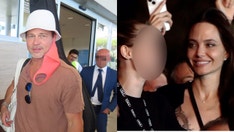 Brad Pitt calls Angelina Jolie's sale of stake in French winery 'vindictive': lawsuit