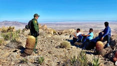 California border agents rescue 11 illegal immigrants lost in mountains