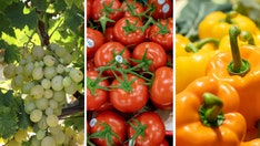 Fruit or vegetable? Take this quiz to test your healthy foods knowledge