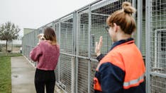 Families are returning their pets to animal shelters due to inflation and rising rents: 'So sad'