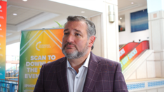 Ted Cruz says Trump announcing 2024 run would 'significantly' clear GOP field