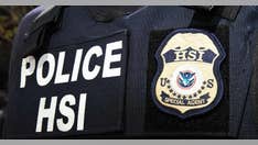 Biden administration sending surge of ICE special agents to border amid increase in migrant numbers