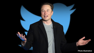 Elon Musk reacts to woke Harry Potter-themed story