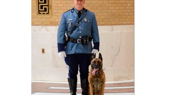 Massachusetts police dog fatally shot by man barricaded in his home