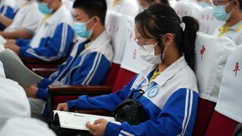 China puts therapists on trial for sedition over children's books about sheep and wolves