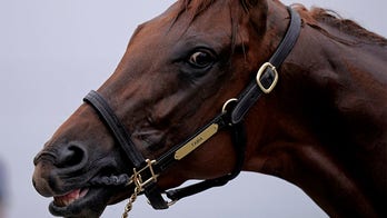 Hall of Fame trainer Bob Baffert's horse Taiba is favorite in $1 million Haskell Stakes