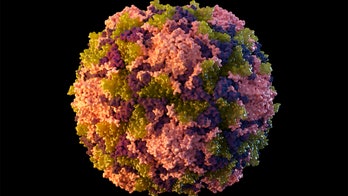 More polio found in New York City wastewater, health officials say