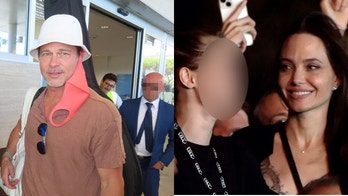 Brad Pitt calls Angelina Jolie's sale of stake in French winery 'vindictive': lawsuit