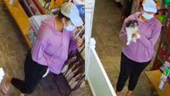 Florida woman stole $2,600 puppy from pet store: authorities