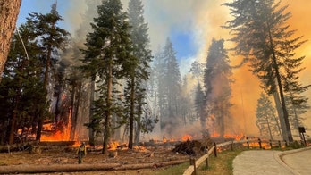 White House monitoring Yosemite wildfire