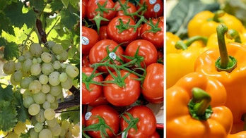 Fruit or vegetable? Take this quiz to test your healthy foods knowledge