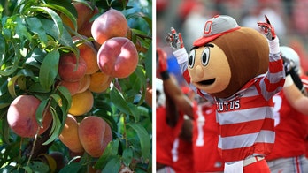 State nickname quiz! How well do you really know these US states?