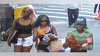 NYC teen girls arrested on hate crime charges for 'anti-White assault'