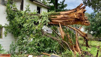 Tree in Alabama falls on home and kills 2 kids, injures 3
