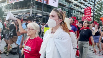 Congressional Baseball Game protesters demanded more aggressive climate action before arrests