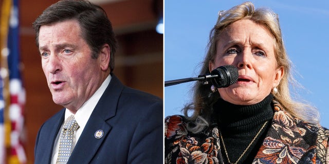 Reps. John Garamendi, D-Calif., and Debbie Dingell, D-Mich.