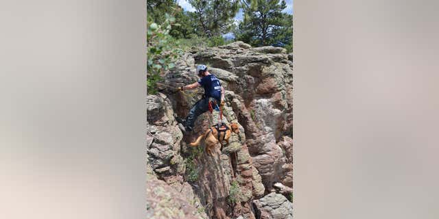 Search and rescue teams took K-9s out for a special training day in El Paso County, Colorado.