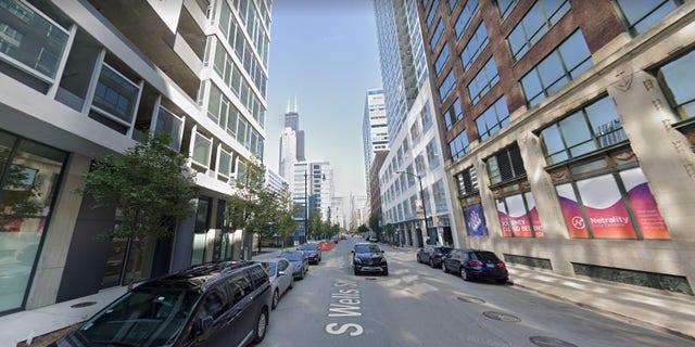 The woman was hit in the back of the head and carjacked on the 700 block of South Wells Street.