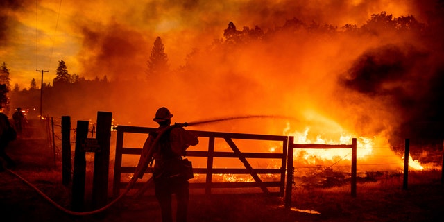 A firefighter extinguishes flames as the Oak Fire crosses Darrah Road in Mariposa County, Calif., July 22, 2022. 