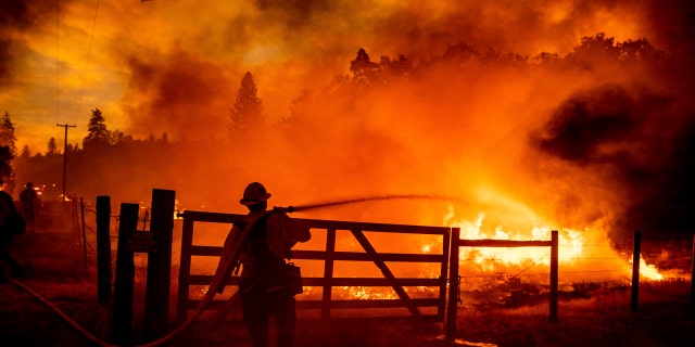 A firefighter extinguishes flames as the Oak Fire crosses Darrah Road in Mariposa County, Calif., July 22, 2022.