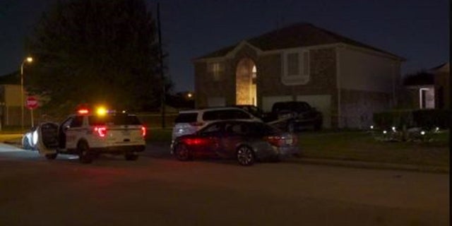 A man allegedly stabbed three family members during a dispute near Houston on Sunday, authorities said.