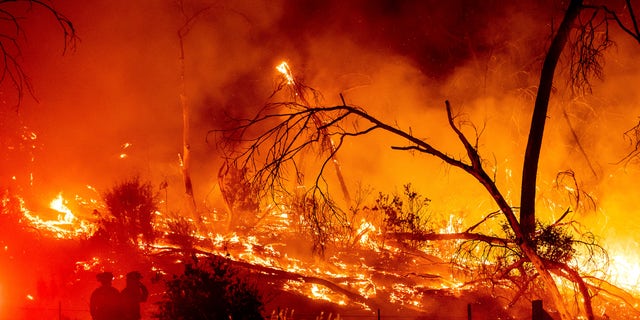 Firefighters battle the Electra Fire in the Rich Gulch community of Calaveras County, California, on July 4, 2022. 