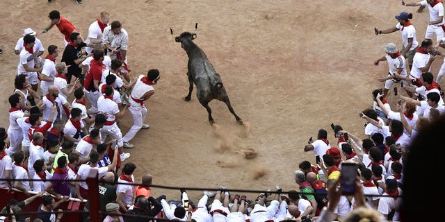 Um bezerro entra na praça de touros no final da corrida de touros para mais entretenimento no Festival de San Fermin em Pamplona, ​​​​Espanha, na segunda-feira, 11 de julho de 2022.