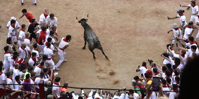 Um bezerro entra na praça de touros no final da corrida de touros para mais entretenimento no Festival de San Fermin em Pamplona, ​​​​Espanha, na segunda-feira, 11 de julho de 2022.