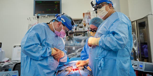 Dr. Nader Moazami, right, and cardiothoracic physician assistant Amanda Merrifield, center, and other members of a surgical team prepare for the transplant of a genetically modified pig heart into a recently deceased donor at NYU Langone Health on Wednesday, July 6, in New York.