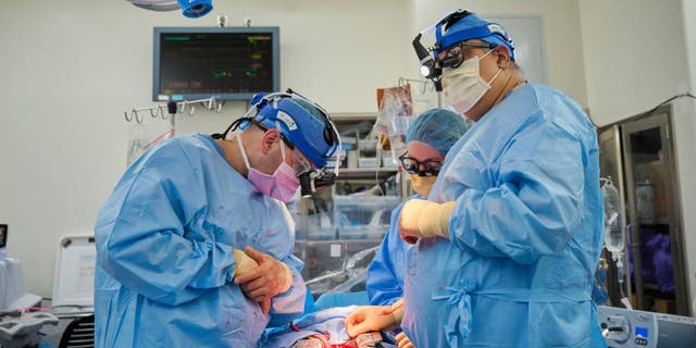 Dr. Nader Moazami, right, and cardiothoracic physician assistant Amanda Merrifield, center, and other members of a surgical team prepare for the transplant of a genetically modified pig heart into a recently deceased donor at NYU Langone Health on Wednesday, July 6, in New York.