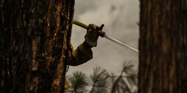 A firefighter tends to a backfire along Wawona Road while battling the Washburn Fire in Yosemite National Park.