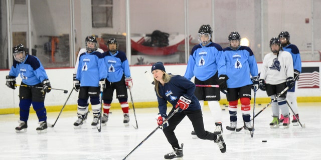 Montreal is getting their own Premier Hockey Federation franchise.