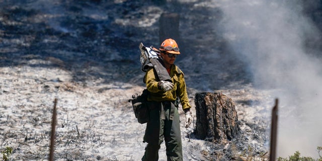 Firefighters move into an area where a backfire took place near the Yosemite National Park south entrance, as the Washburn Fire continues to burn.