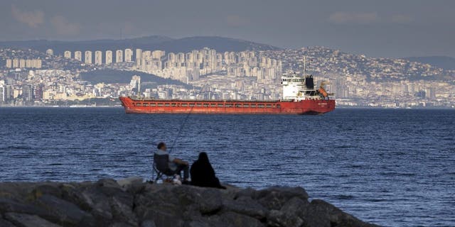A family sit on a rock in front of a cargo ship anchors in the Marmara Sea awaits to access to cross the Bosphorus Straits in Istanbul, Turkey, Wednesday, July 13, 2022. 