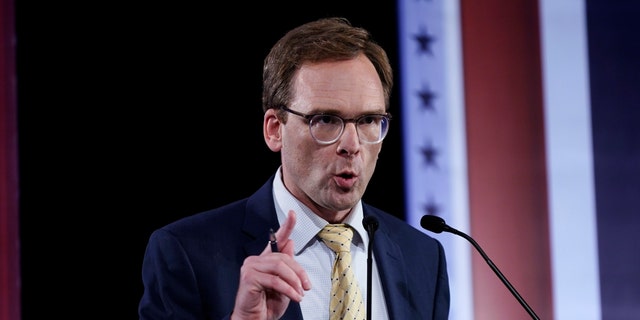 Tom Nelson, above, participates in a televised Wisconsin Democratic U.S. Senate debate in Milwaukee. 